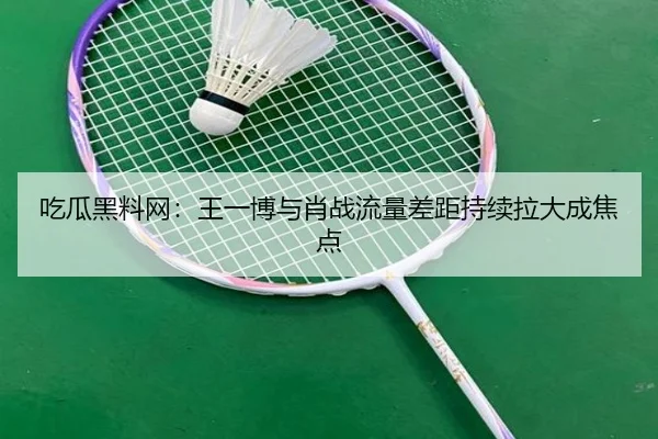 吃瓜黑料网：王一博与肖战流量差距持续拉大成焦点
